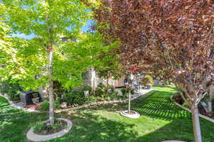 Mature shade trees