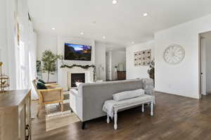 Living room featuring dark wood-type flooring