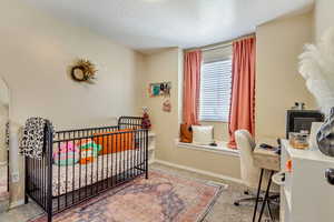 Carpeted bedroom with a nursery area