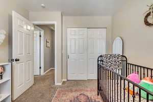 Carpeted bedroom featuring a closet