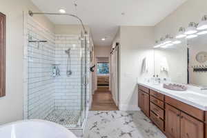 Bathroom with vanity and shower with separate bathtub