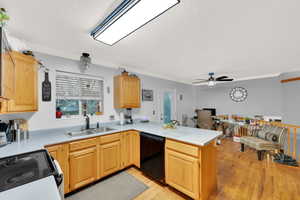 Kitchen with ceiling fan, sink, black dishwasher, kitchen peninsula, and ornamental molding