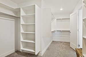 Spacious closet with light carpet