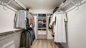 Spacious closet featuring carpet