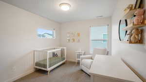 Bedroom featuring a textured ceiling and light colored carpet.