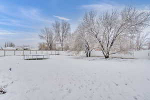 Yard covered in snow with a trampoline