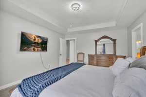 Carpeted bedroom with a raised ceiling