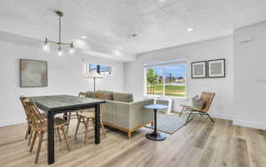 Living room featuring plenty of natural light, a textured ceiling, and light wood-type flooring