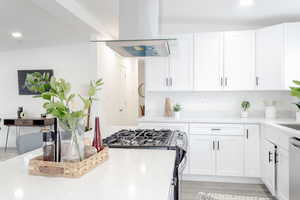 Kitchen featuring island exhaust hood, white cabinetry, and stainless steel appliances