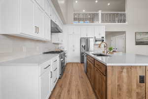 Kitchen with high end appliances, white cabinetry, under cabinet range hood, and light stone counters