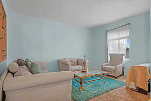 Living room with carpet flooring