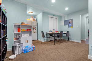 Playroom with a textured ceiling, carpet, and electric panel