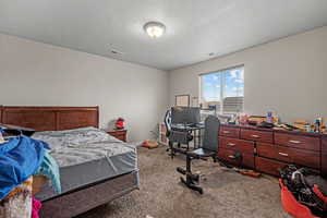 Carpeted bedroom with a textured ceiling