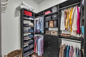 Walk in closet with wood-type flooring