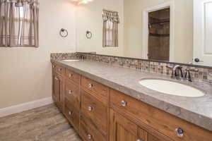 Bathroom with hardwood / wood-style floors, vanity, and tasteful backsplash