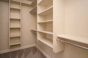 Walk in closet with carpet floors