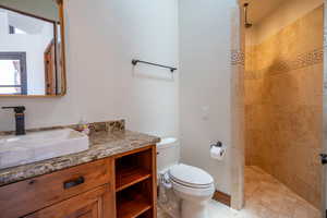 Bathroom featuring vanity, toilet, and tiled shower