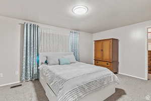 Carpeted bedroom with a textured ceiling