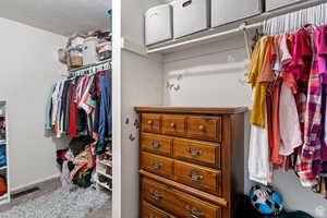 Walk in closet with carpet