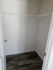 Spacious closet featuring dark hardwood / wood-style floors