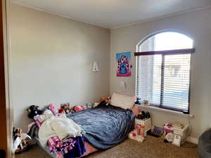 Bedroom with carpet floors and multiple windows