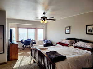 Bedroom featuring ceiling fan and light carpet