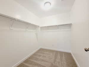 2nd bedroom suite walk in closet