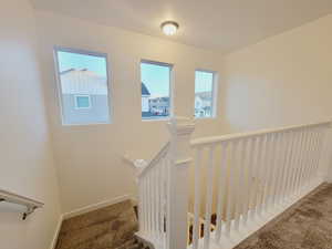 Stairs with carpet flooring