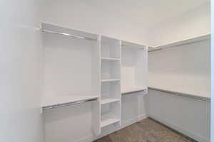 Walk in closet with carpet