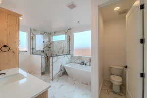 Full bathroom with vanity, a healthy amount of sunlight, toilet, and plus walk in shower