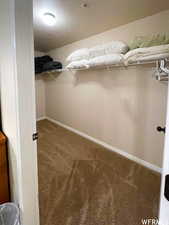 Walk in closet featuring carpet flooring