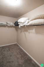 Walk in closet featuring carpet flooring