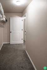 Walk in closet featuring carpet