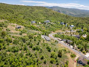 Aerial view of a heavily wooded area and a mountainous background