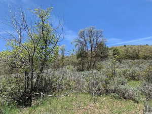 View of landscape