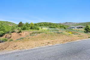 View of asphalt road