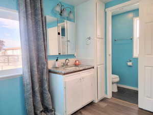 Bathroom featuring hardwood / wood-style flooring, vanity, and toilet