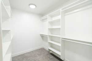 Spacious closet featuring carpet