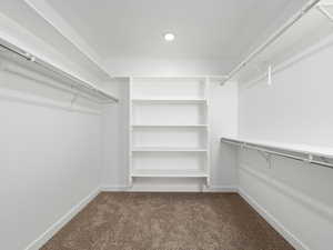 Spacious closet featuring carpet floors