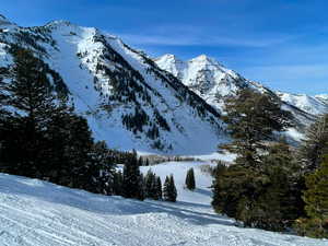 Cross-country ski or snow-shoe through a winter wonderland