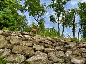 View of landscape