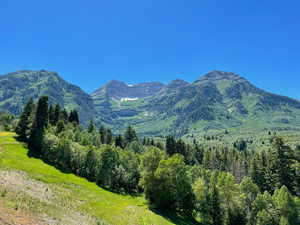 Imagine this view while on a summer ski lift ride to the top