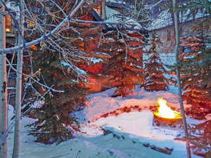 Stone fire pit surrounded by pines