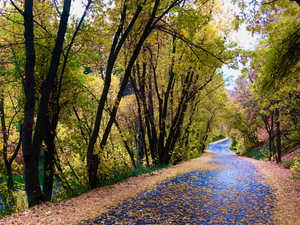 A scenic drive along Timphaven Road with stunning fall color