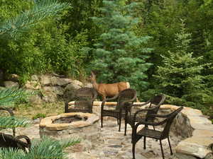 Mountain friends come to visit at the stone firepit seating area