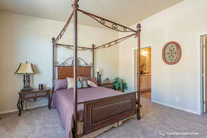 Bedroom featuring ensuite bath, light carpet, and vaulted ceiling