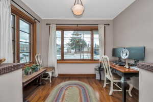 Office with dark hardwood / wood-style flooring, ornamental molding, and a wealth of natural light