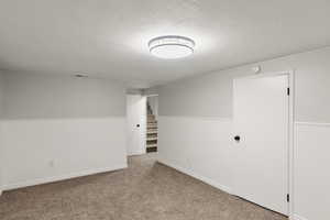 Basement Family Room featuring a textured ceiling and light carpet