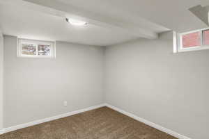 Basement Bedroom 4