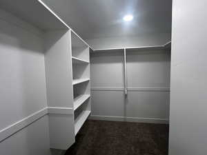 Spacious closet featuring dark colored carpet